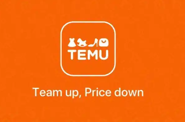 跨境电商,temu